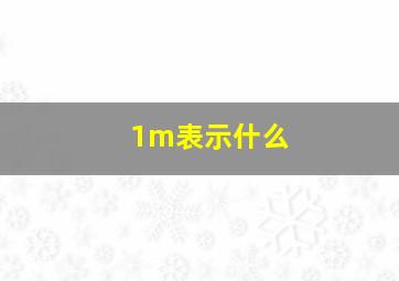 1m表示什么