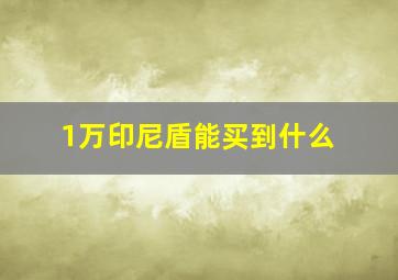 1万印尼盾能买到什么