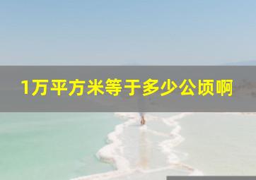 1万平方米等于多少公顷啊