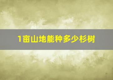 1亩山地能种多少杉树