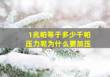 1兆帕等于多少千帕压力呢为什么要加压