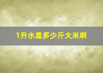 1升水是多少斤大米啊