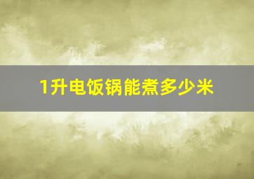 1升电饭锅能煮多少米