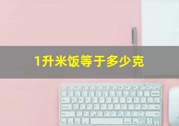 1升米饭等于多少克