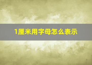 1厘米用字母怎么表示