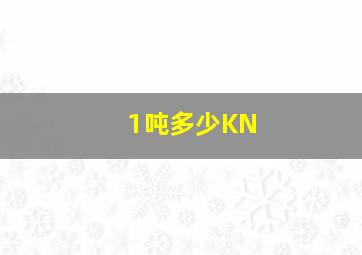 1吨多少KN