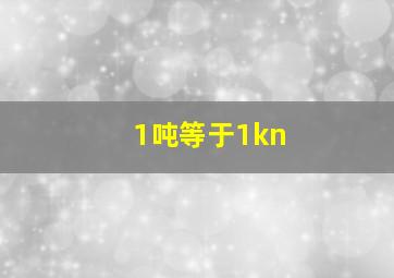 1吨等于1kn