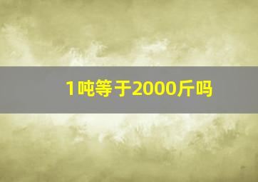 1吨等于2000斤吗