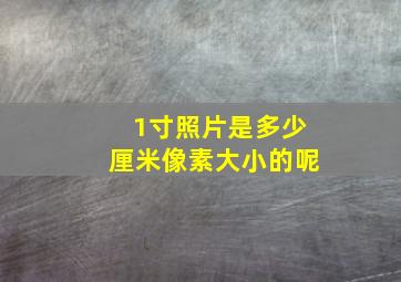 1寸照片是多少厘米像素大小的呢