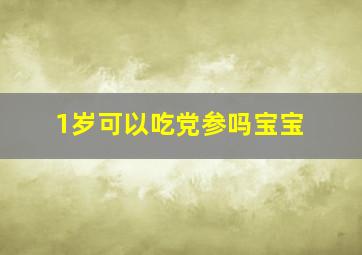 1岁可以吃党参吗宝宝