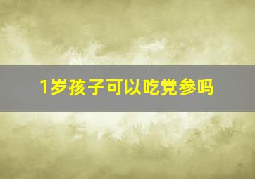 1岁孩子可以吃党参吗