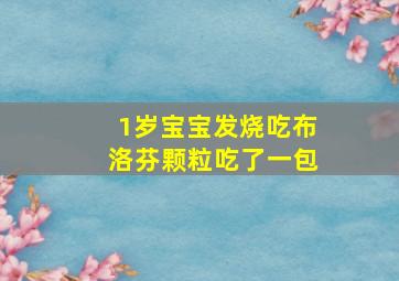 1岁宝宝发烧吃布洛芬颗粒吃了一包