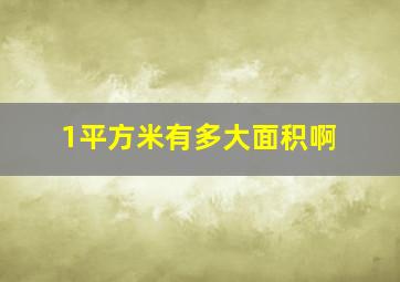 1平方米有多大面积啊