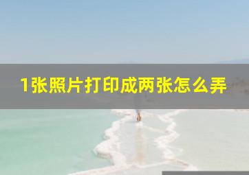 1张照片打印成两张怎么弄