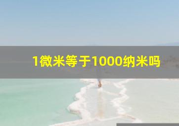 1微米等于1000纳米吗