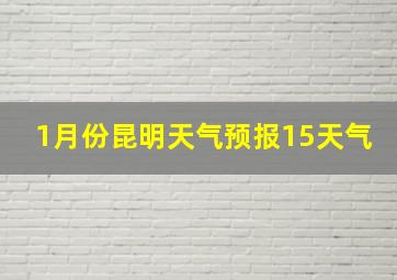 1月份昆明天气预报15天气