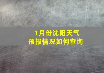 1月份沈阳天气预报情况如何查询