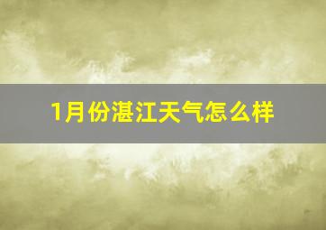 1月份湛江天气怎么样