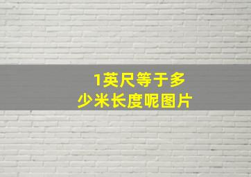 1英尺等于多少米长度呢图片