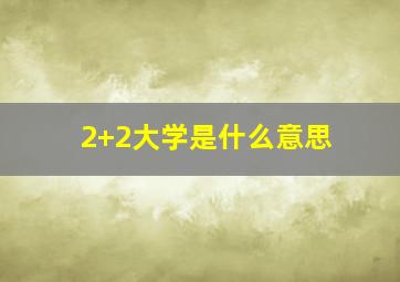 2+2大学是什么意思