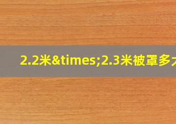 2.2米×2.3米被罩多大