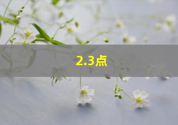 2.3点