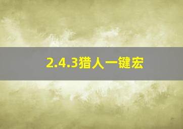 2.4.3猎人一键宏