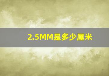 2.5MM是多少厘米