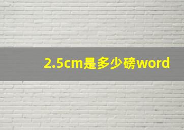 2.5cm是多少磅word