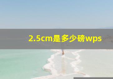 2.5cm是多少磅wps