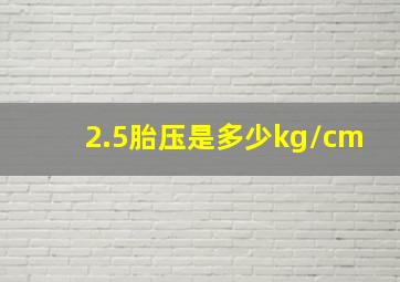 2.5胎压是多少kg/cm