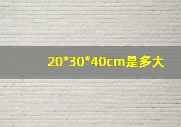 20*30*40cm是多大