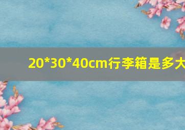 20*30*40cm行李箱是多大