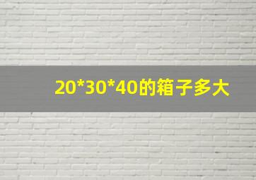 20*30*40的箱子多大