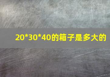 20*30*40的箱子是多大的