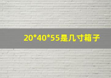 20*40*55是几寸箱子