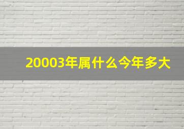 20003年属什么今年多大