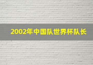 2002年中国队世界杯队长