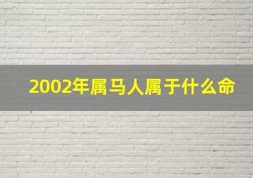 2002年属马人属于什么命