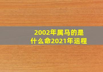 2002年属马的是什么命2021年运程