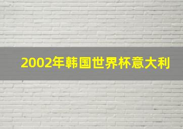 2002年韩国世界杯意大利