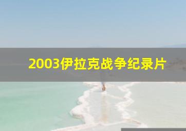 2003伊拉克战争纪录片