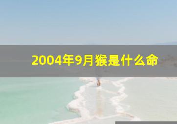 2004年9月猴是什么命