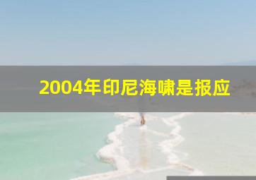 2004年印尼海啸是报应