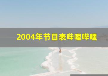 2004年节目表哔哩哔哩