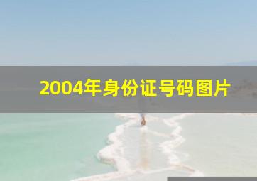 2004年身份证号码图片