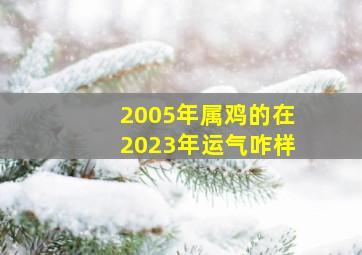 2005年属鸡的在2023年运气咋样