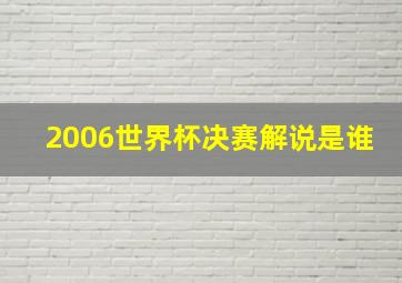 2006世界杯决赛解说是谁