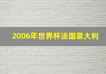 2006年世界杯法国意大利