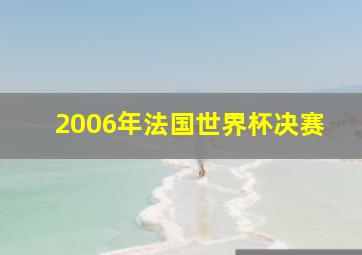 2006年法国世界杯决赛